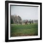 Golfers Playing on Golf Course-Walker Evans-Framed Photographic Print