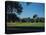 Golfers Playing on Golf Course-Walker Evans-Stretched Canvas