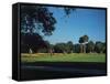 Golfers Playing on Golf Course-Walker Evans-Framed Stretched Canvas