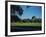 Golfers Playing on Golf Course-Walker Evans-Framed Photographic Print