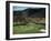 Golfers Playing on the No. 1 White Sulfur Golf Course-Walker Evans-Framed Photographic Print