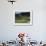 Golfers Playing on the No. 1 White Sulfur Golf Course-Walker Evans-Framed Photographic Print displayed on a wall