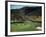 Golfers Playing on the No. 1 White Sulfur Golf Course-Walker Evans-Framed Photographic Print