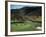 Golfers Playing on the No. 1 White Sulfur Golf Course-Walker Evans-Framed Photographic Print