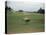 Golfers Sitting on Bench Near Practice Greens While Awaiting Tee Time on Pinehurst Golf Course-Walker Evans-Stretched Canvas