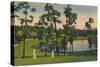 'Golfing, a year round sport in Florida', c1939-Unknown-Stretched Canvas