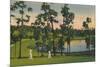 'Golfing, a year round sport in Florida', c1939-Unknown-Mounted Giclee Print