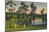 'Golfing, a year round sport in Florida', c1939-Unknown-Mounted Giclee Print