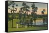 'Golfing, a year round sport in Florida', c1939-Unknown-Framed Stretched Canvas