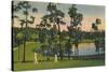 'Golfing, a year round sport in Florida', c1939-Unknown-Stretched Canvas