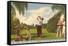 Golfing at La Quinta, California-null-Framed Stretched Canvas