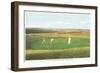 Golfing by the Sea, Nantucket, Massachusetts-null-Framed Art Print