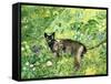 Golfing Cat-Hilary Jones-Framed Stretched Canvas