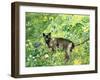 Golfing Cat-Hilary Jones-Framed Giclee Print