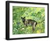 Golfing Cat-Hilary Jones-Framed Giclee Print