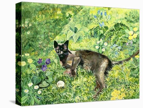 Golfing Cat-Hilary Jones-Stretched Canvas