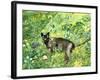 Golfing Cat-Hilary Jones-Framed Giclee Print