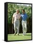 Golfing Companions-null-Framed Stretched Canvas