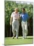 Golfing Companions-null-Mounted Photographic Print