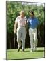 Golfing Companions-null-Mounted Photographic Print