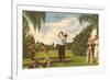 Golfing, Florida-null-Framed Art Print