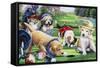 Golfing Puppies-Jenny Newland-Framed Stretched Canvas