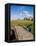 Golfing the Swilcan Bridge on the 18th Hole, St Andrews Golf Course, Scotland-Bill Bachmann-Framed Stretched Canvas