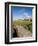 Golfing the Swilcan Bridge on the 18th Hole, St Andrews Golf Course, Scotland-Bill Bachmann-Framed Premium Photographic Print