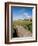 Golfing the Swilcan Bridge on the 18th Hole, St Andrews Golf Course, Scotland-Bill Bachmann-Framed Photographic Print