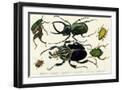 Black Frame