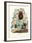 Goliath Beetles, 1863-79-Raimundo Petraroja-Framed Giclee Print