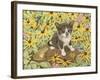 Goliath in the Wild Wild World-Jan Benz-Framed Giclee Print