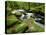 Golitha Falls, Bodmin, Cornwall, UK-Ross Hoddinott-Stretched Canvas