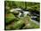 Golitha Falls, Bodmin, Cornwall, UK-Ross Hoddinott-Stretched Canvas