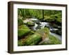 Golitha Falls, Bodmin, Cornwall, UK-Ross Hoddinott-Framed Photographic Print