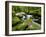 Golitha Falls, Bodmin, Cornwall, UK-Ross Hoddinott-Framed Photographic Print