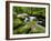 Golitha Falls, Bodmin, Cornwall, UK-Ross Hoddinott-Framed Photographic Print