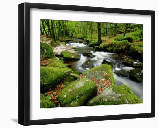 Golitha Falls, Bodmin, Cornwall, UK-Ross Hoddinott-Framed Photographic Print