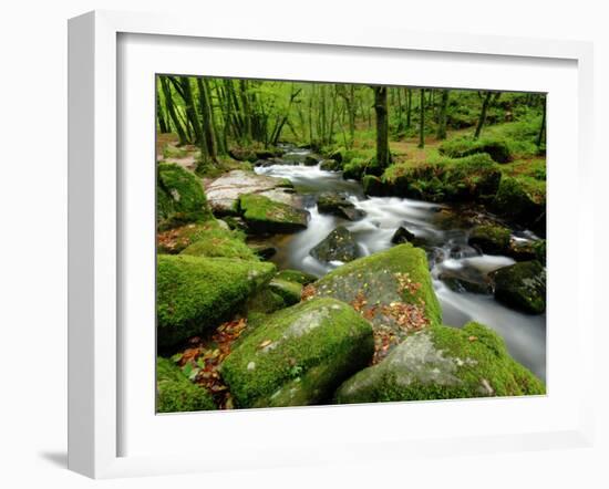 Golitha Falls, Bodmin, Cornwall, UK-Ross Hoddinott-Framed Photographic Print