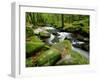 Golitha Falls, Bodmin, Cornwall, UK-Ross Hoddinott-Framed Photographic Print