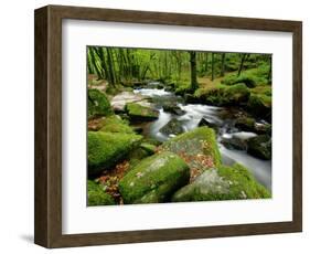 Golitha Falls, Bodmin, Cornwall, UK-Ross Hoddinott-Framed Photographic Print