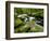 Golitha Falls, Bodmin, Cornwall, UK-Ross Hoddinott-Framed Photographic Print