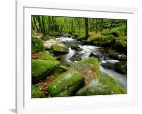 Golitha Falls, Bodmin, Cornwall, UK-Ross Hoddinott-Framed Photographic Print