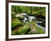 Golitha Falls, Bodmin, Cornwall, UK-Ross Hoddinott-Framed Photographic Print