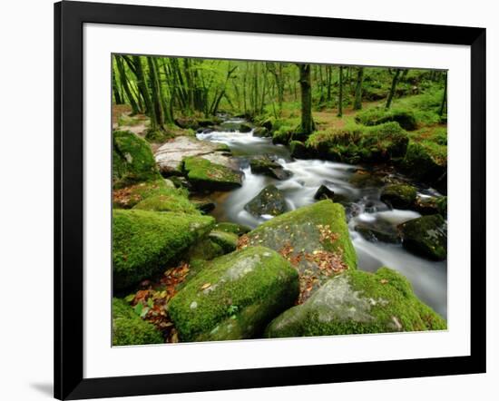 Golitha Falls, Bodmin, Cornwall, UK-Ross Hoddinott-Framed Photographic Print