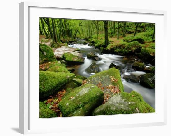 Golitha Falls, Bodmin, Cornwall, UK-Ross Hoddinott-Framed Photographic Print