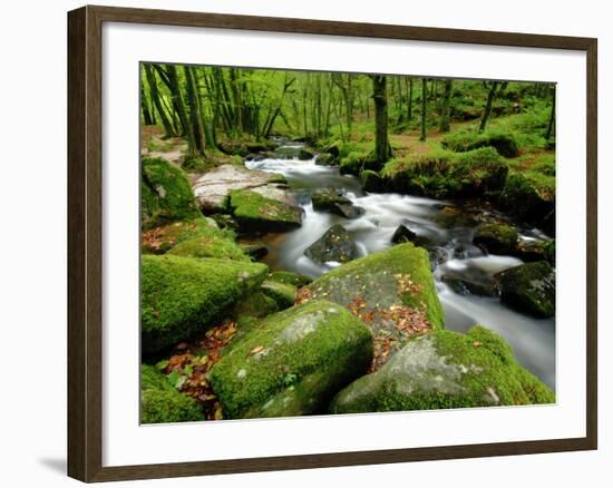 Golitha Falls, Bodmin, Cornwall, UK-Ross Hoddinott-Framed Photographic Print