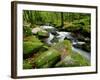 Golitha Falls, Bodmin, Cornwall, UK-Ross Hoddinott-Framed Photographic Print