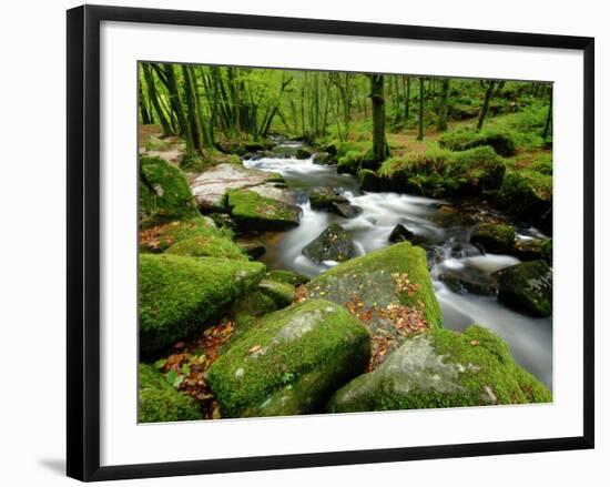 Golitha Falls, Bodmin, Cornwall, UK-Ross Hoddinott-Framed Photographic Print