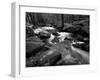 Golitha Falls, Bodmin, Cornwall, UK-Ross Hoddinott-Framed Photographic Print